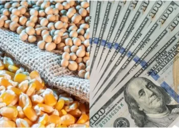 Sector agroexportador argentino registra aumento del 36% en ingresos de enero, alcanzando 2.073 millones de dólares