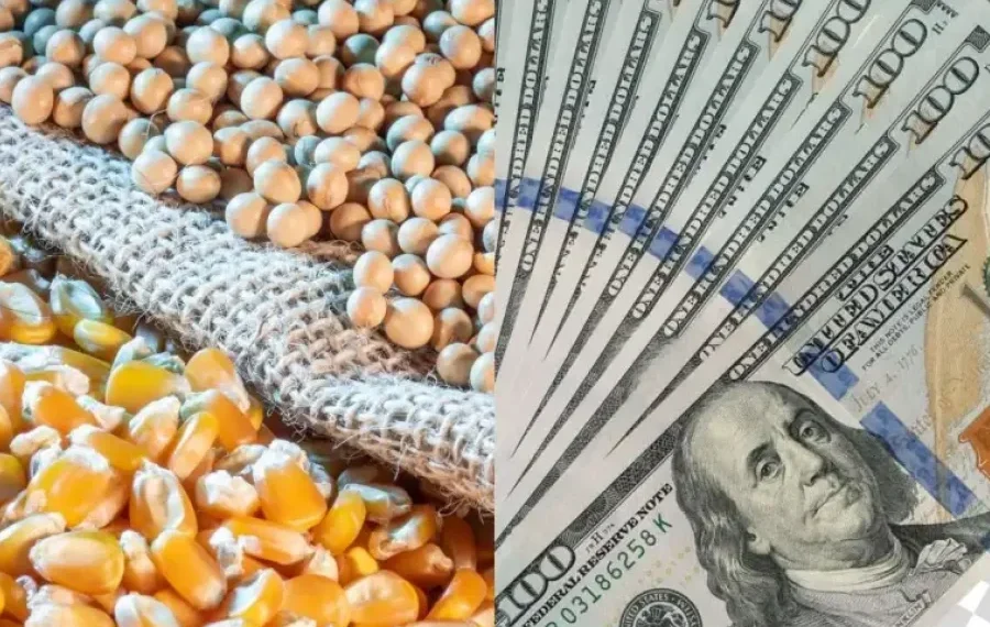 Sector agroexportador argentino registra aumento del 36% en ingresos de enero, alcanzando 2.073 millones de dólares