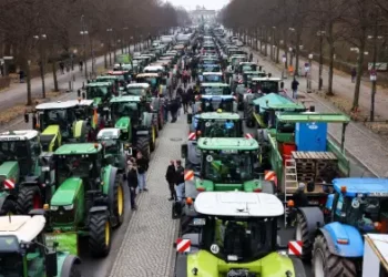 Mercosur-UE: El Incentivo que Acerca la Firma.