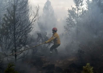 Gobernadores, unidos por Ley de Emergencia Ígnea.