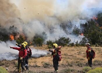 Adorni, en la mira: Grabois lo increpa por los incendios patagónicos.