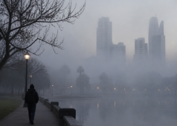 Persisten las neblinas y el frío en el AMBA: cuándo se espera un aumento en las temperaturas