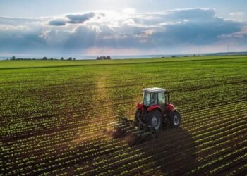 Debate en el Senado por la Ley de Tierras: Controversia en torno a la eliminación de límites para compradores extranjeros