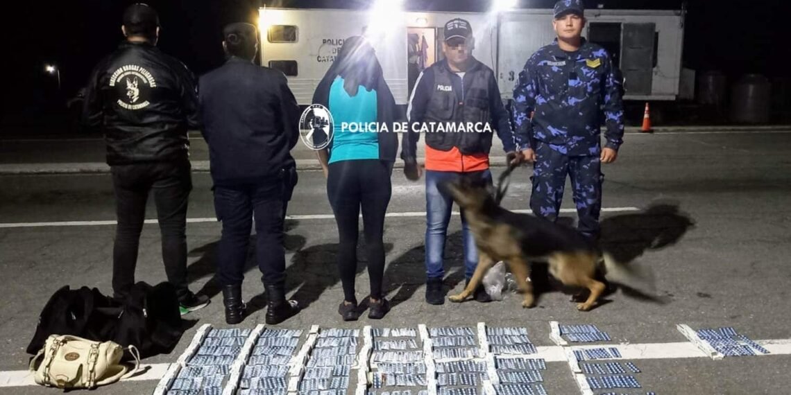 Desmantelan red de distribución de ansiolíticos en Catamarca con más de 1.500 comprimidos incautados