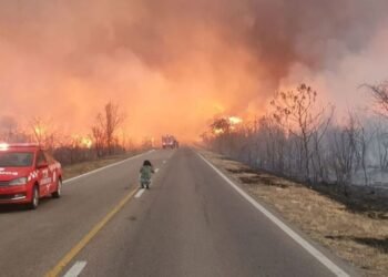 Salta intensifica medidas contra incendios: multas de hasta 2 millones de pesos por quemas