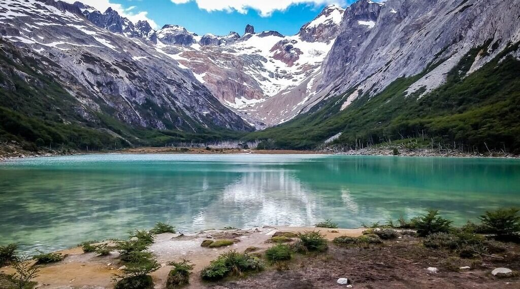 Monitoreo del huemul: un plan científico para proteger al ‘fantasma de los Andes’ en peligro de extinción