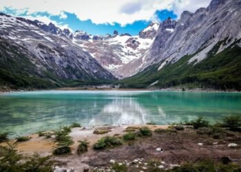 Monitoreo del huemul: un plan científico para proteger al ‘fantasma de los Andes’ en peligro de extinción
