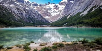 Monitoreo del huemul: un plan científico para proteger al ‘fantasma de los Andes’ en peligro de extinción
