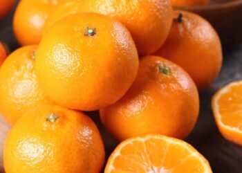 Temporada de naranjas: claves para identificar si son jugosas a simple vista