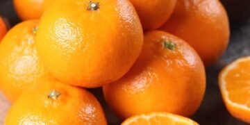 Temporada de naranjas: claves para identificar si son jugosas a simple vista