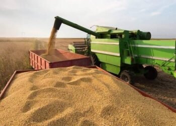 Retenciones: eliminan derechos para más de 1.400 productos, pero el núcleo de la recaudación seguirá vigente