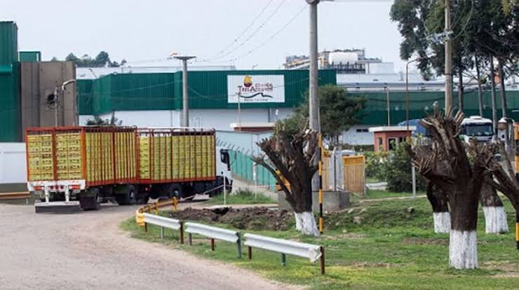 Granja Tres Arroyos se presentó en concurso preventivo y profundiza la crisis de su grupo empresario