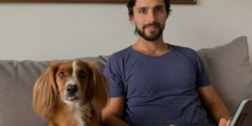 Veterinarios destacan las características del gato persa: ‘Es un animal cariñoso y sereno, pero requiere atención diaria’