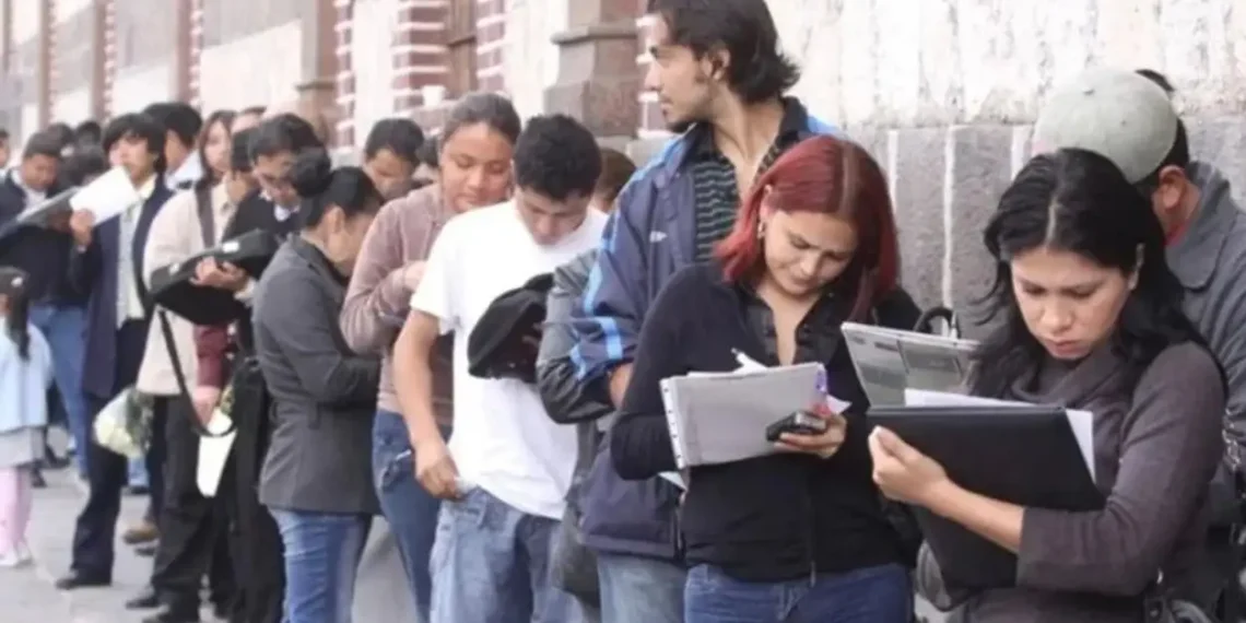 Cyber Monday, Black Friday y fin de año: prevén más de 2.000 empleos temporarios por la demanda estacional