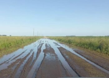 Productores de Necochea reclaman recuperar el Ente Vial Rural por el deterioro de los caminos