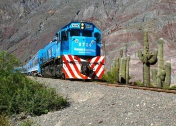 Salta reclama que las obras del Belgrano Cargas sean obligatorias en la privatización