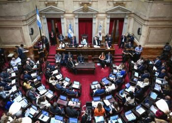 El Senado busca avanzar con un registro nacional de deudores alimentarios y negocia cambios entre los bloques