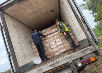 Contrabando y comercio electrónico: advierten sobre los riesgos de trasladar controles estatales a las plataformas